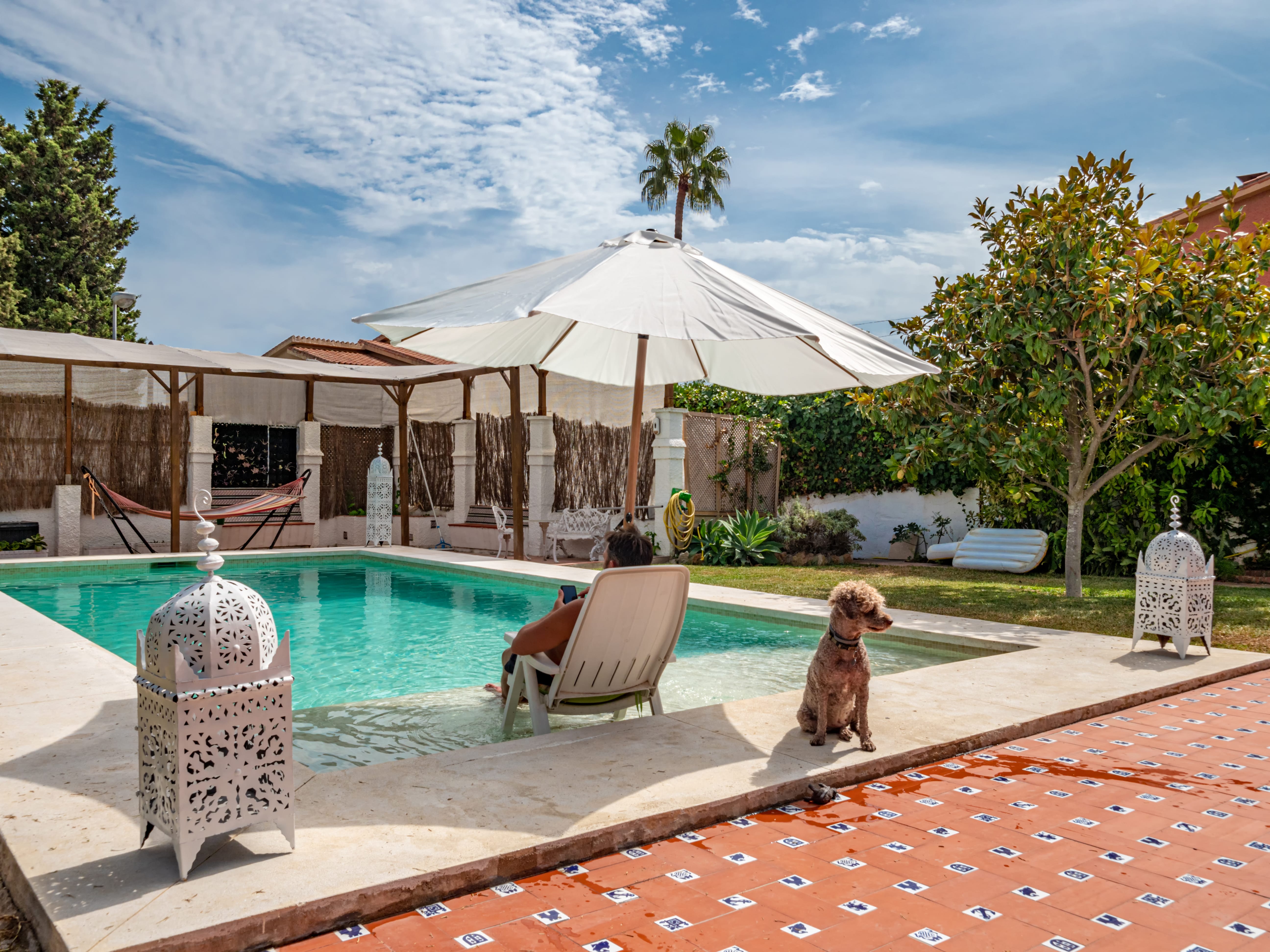 unidentified,man,relaxing,in,a,holiday,villa,with,his,dog