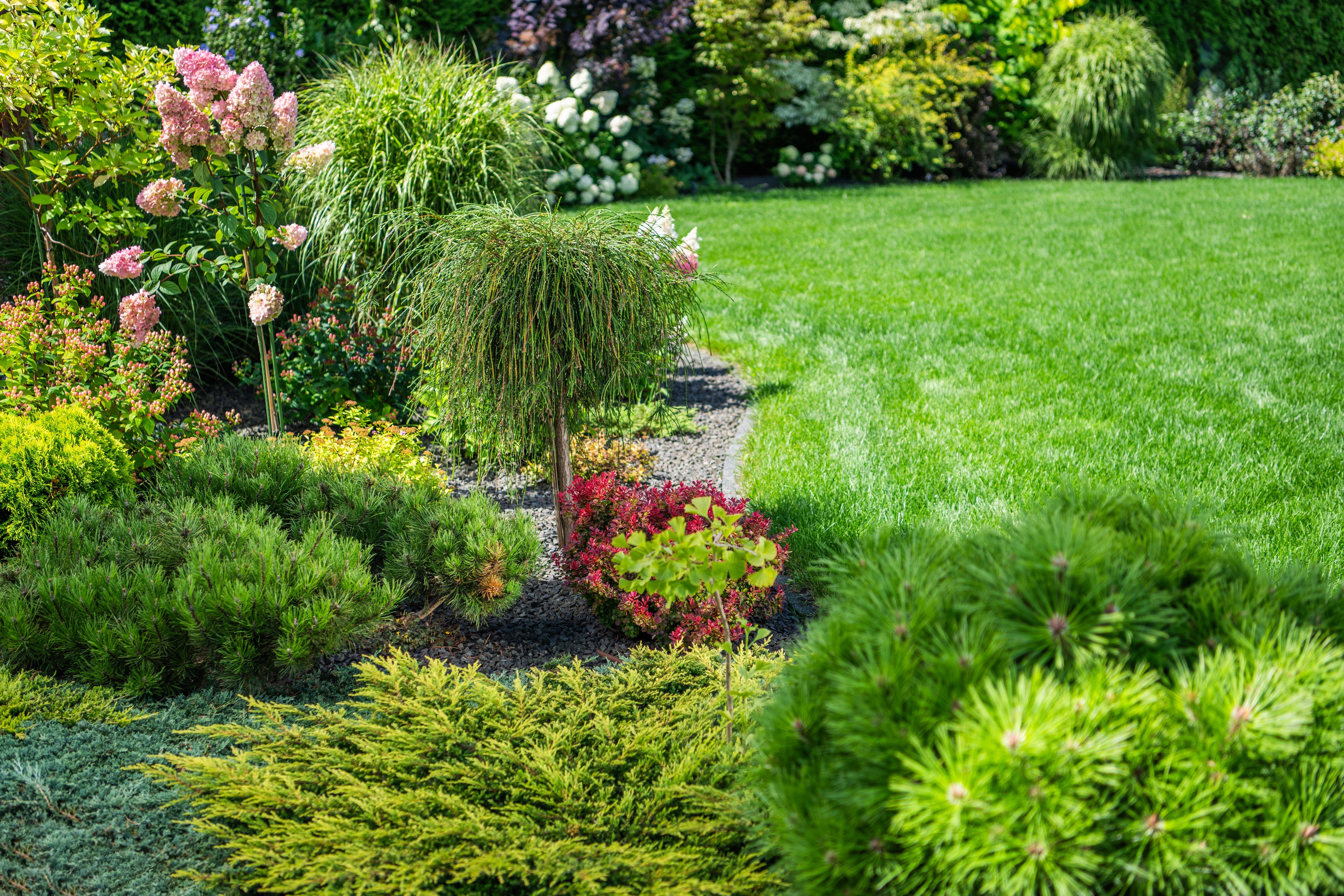 a,beautifully,designed,garden,features,a,variety,of,flowering,plants
